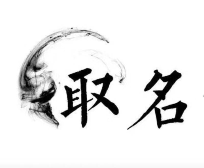  新罗宝宝取名 大师一对一人工起名