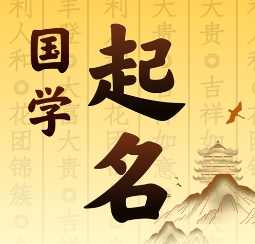 新罗国学起名 人工起名一对一